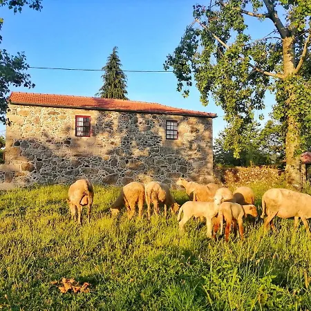 Casa Do Cruzeiro Venkovský dům *