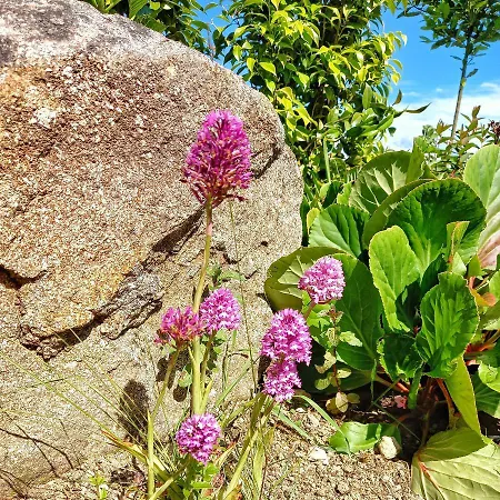 Casa Do Cruzeiro Casa de Campo *