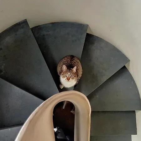 Casa de Campo Casa Do Cruzeiro