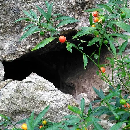 Casa Do Cruzeiro Casa de Campo *