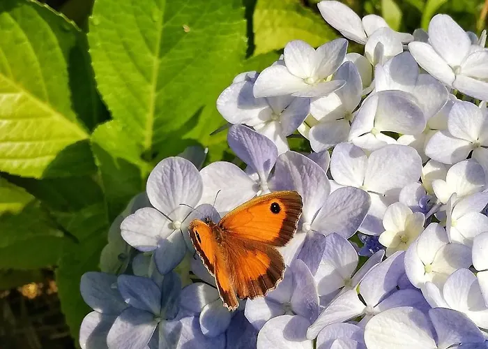 Casa Do Cruzeiro Paredes de Coura