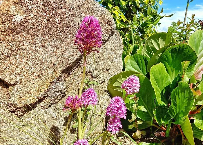 Casa Do Cruzeiro Летний дом *