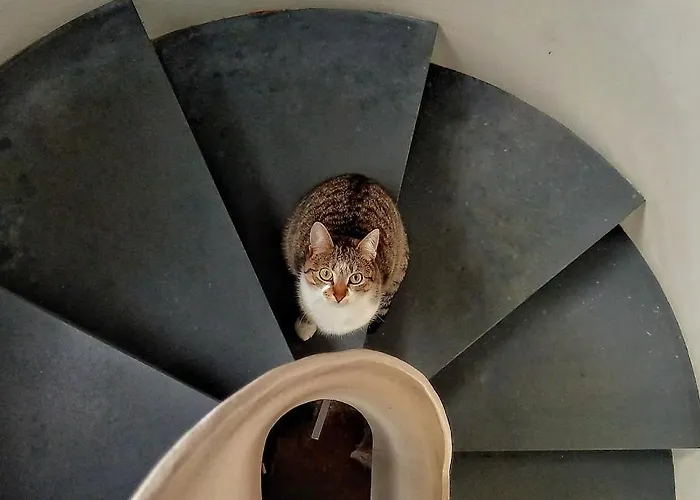 Lantställe Casa Do Cruzeiro