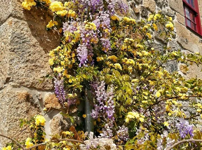 Casa Do Cruzeiro Lantställe