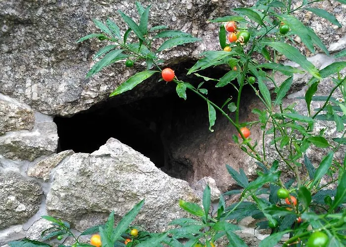 Casa Do Cruzeiro Летний дом *